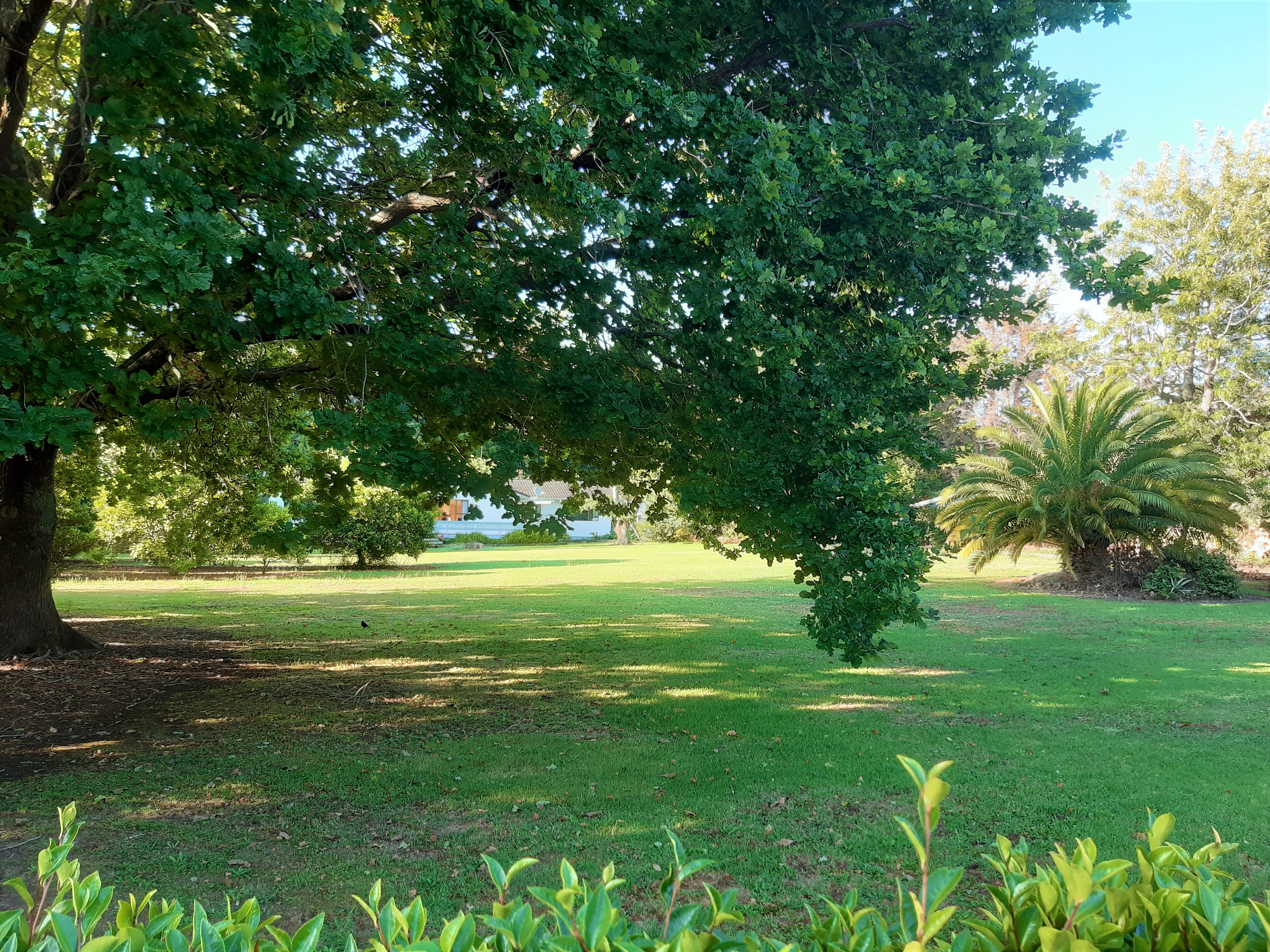 Kerikeri, KENDALL ROAD SECTION WITH TOWN WATER, Property ID: 805322 | Barfoot & Thompson