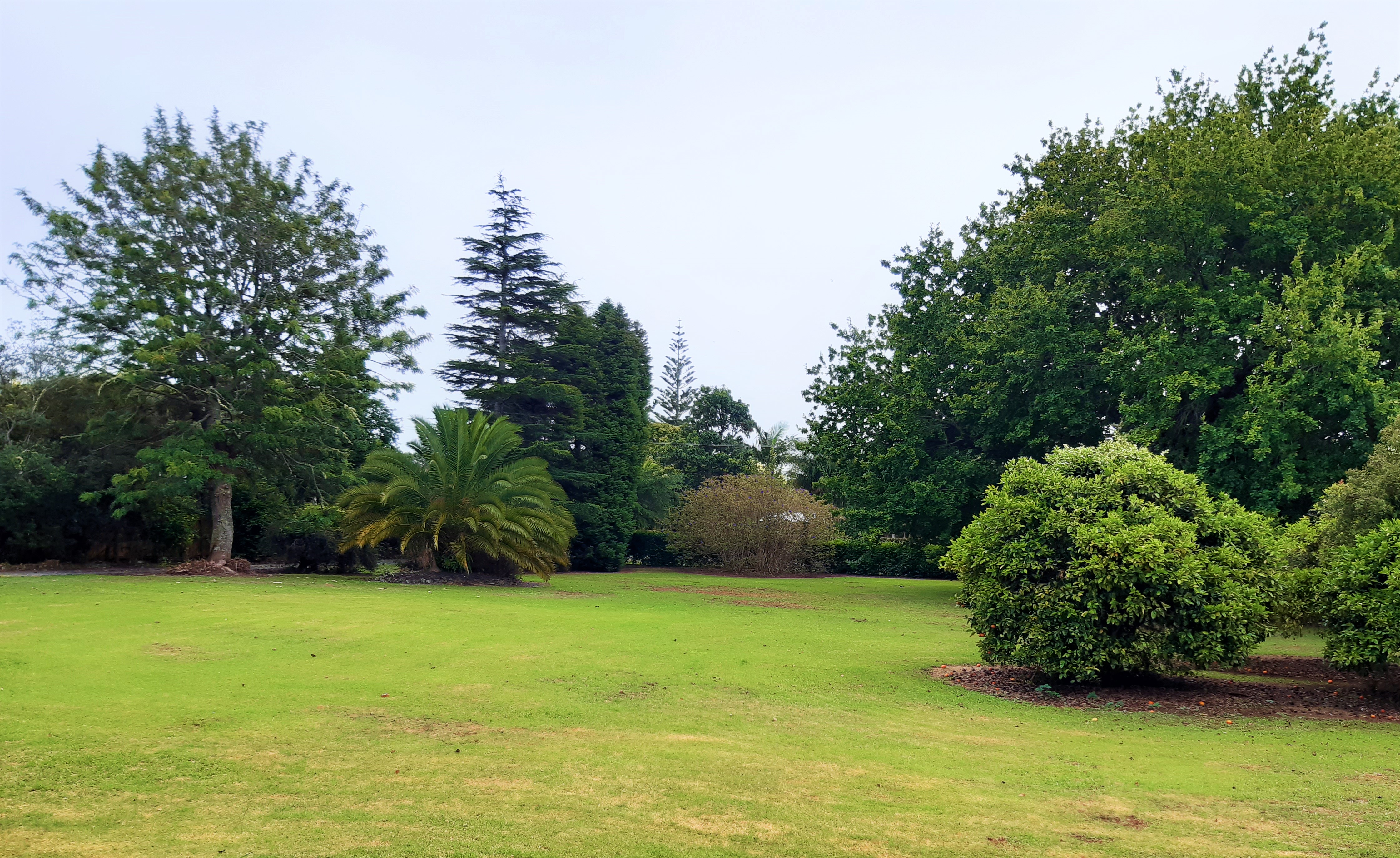 Kerikeri, KENDALL ROAD SECTION WITH TOWN WATER, Property ID: 805322 | Barfoot & Thompson
