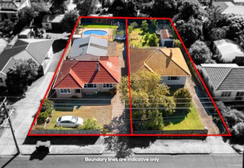 New Lynn, Large Section, Huge Potential - 1618m2 Combined in MHU, Property ID: 830728 | Barfoot & Thompson