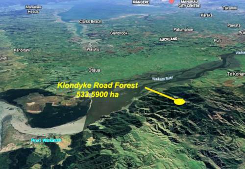 Port Waikato, 533.59HA PRIME LOCATION FORESTRY INVESTMENT, Property ID: 88029 | Barfoot & Thompson