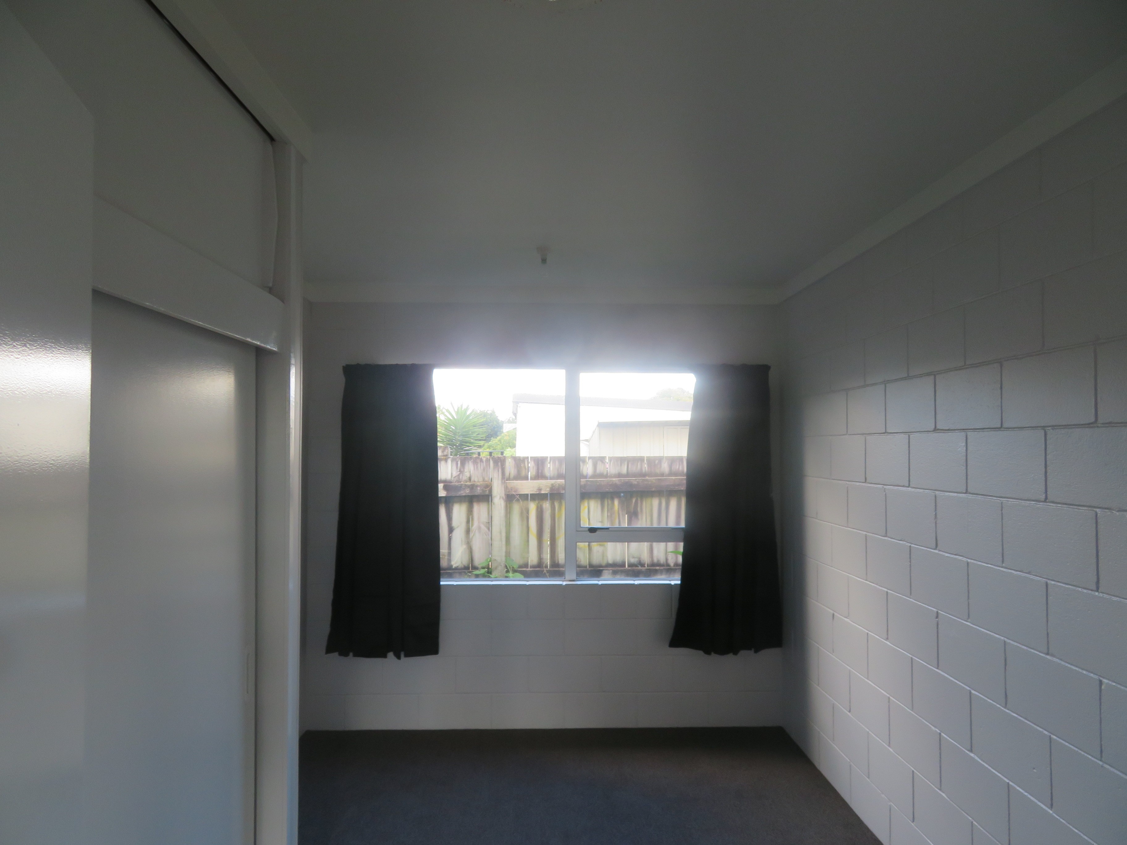 Pet-Friendly Plus Separate Rumpus! 5