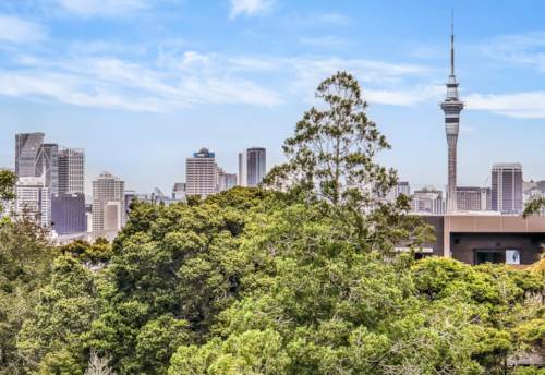Birkenhead, Central Location with Amazing City Views, Property ID: 906258 | Barfoot & Thompson