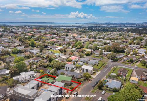 Henderson, Family Living Meets Investment Opportunity, Property ID: 911419 | Barfoot & Thompson