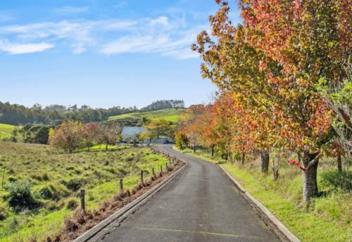 Dairy Flat, Ultimate Rural Escape with Dual Dwellings, Property ID: 911371 | Barfoot & Thompson
