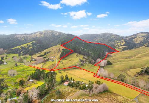 Glorit, 35ha Glorit Forestry/Farm Block, Property ID: 917267 | Barfoot & Thompson
