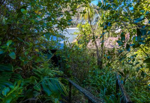 Palm Beach, Deceased Estate – 2,431m² Palm Beach Landholding, Property ID: 918612 | Barfoot & Thompson