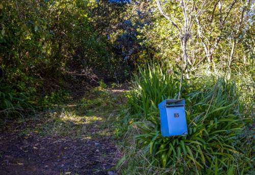 Palm Beach, Deceased Estate – 2,431m² Palm Beach Landholding, Property ID: 918612 | Barfoot & Thompson