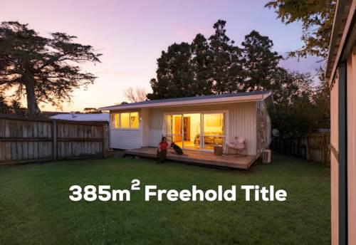 Henderson, Charming Freehold Entry - 385m2, Property ID: 916968 | Barfoot & Thompson