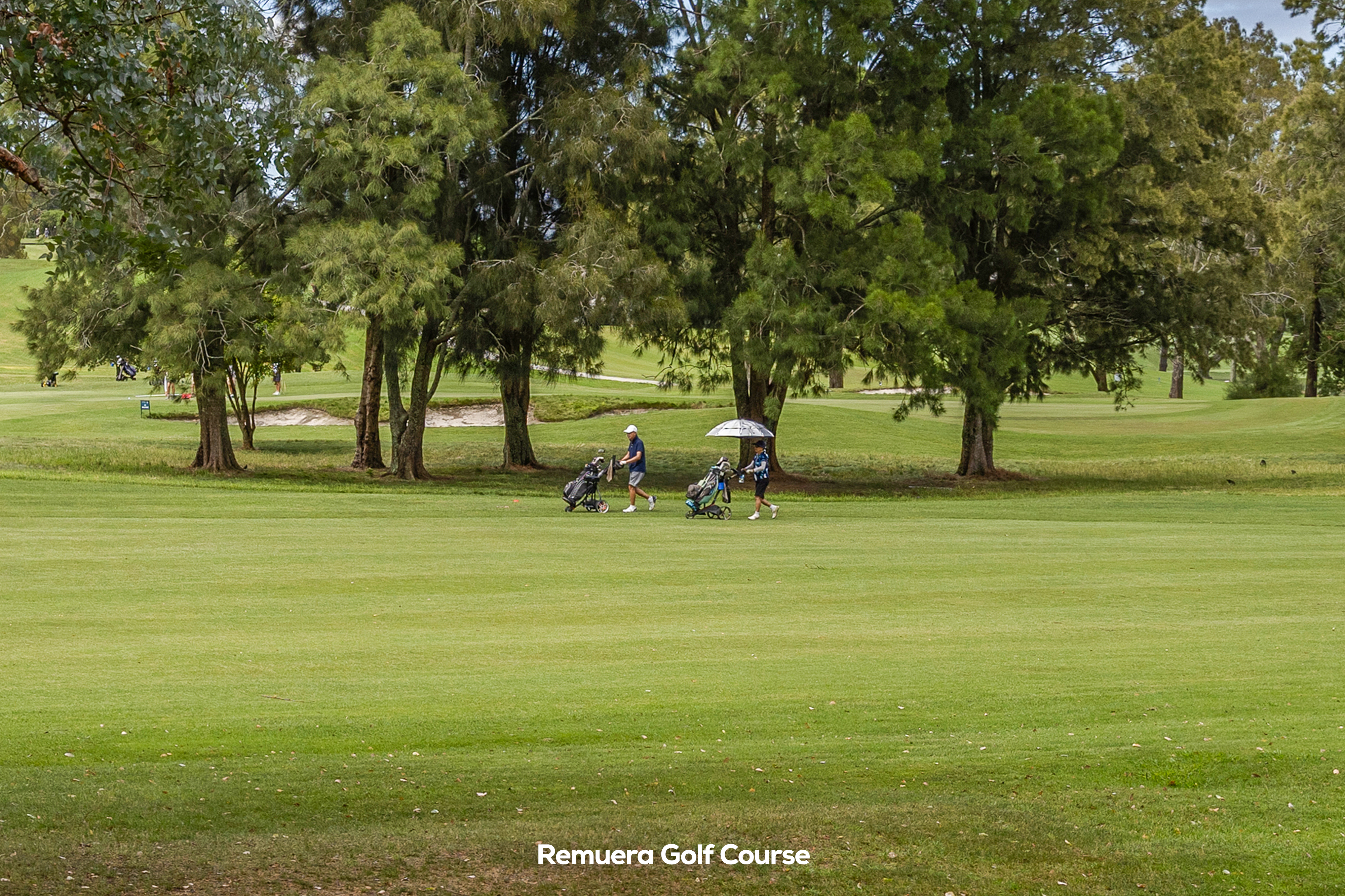 Photo 3 of 11B Norman Lesser Drive, St Johns, Auckland
