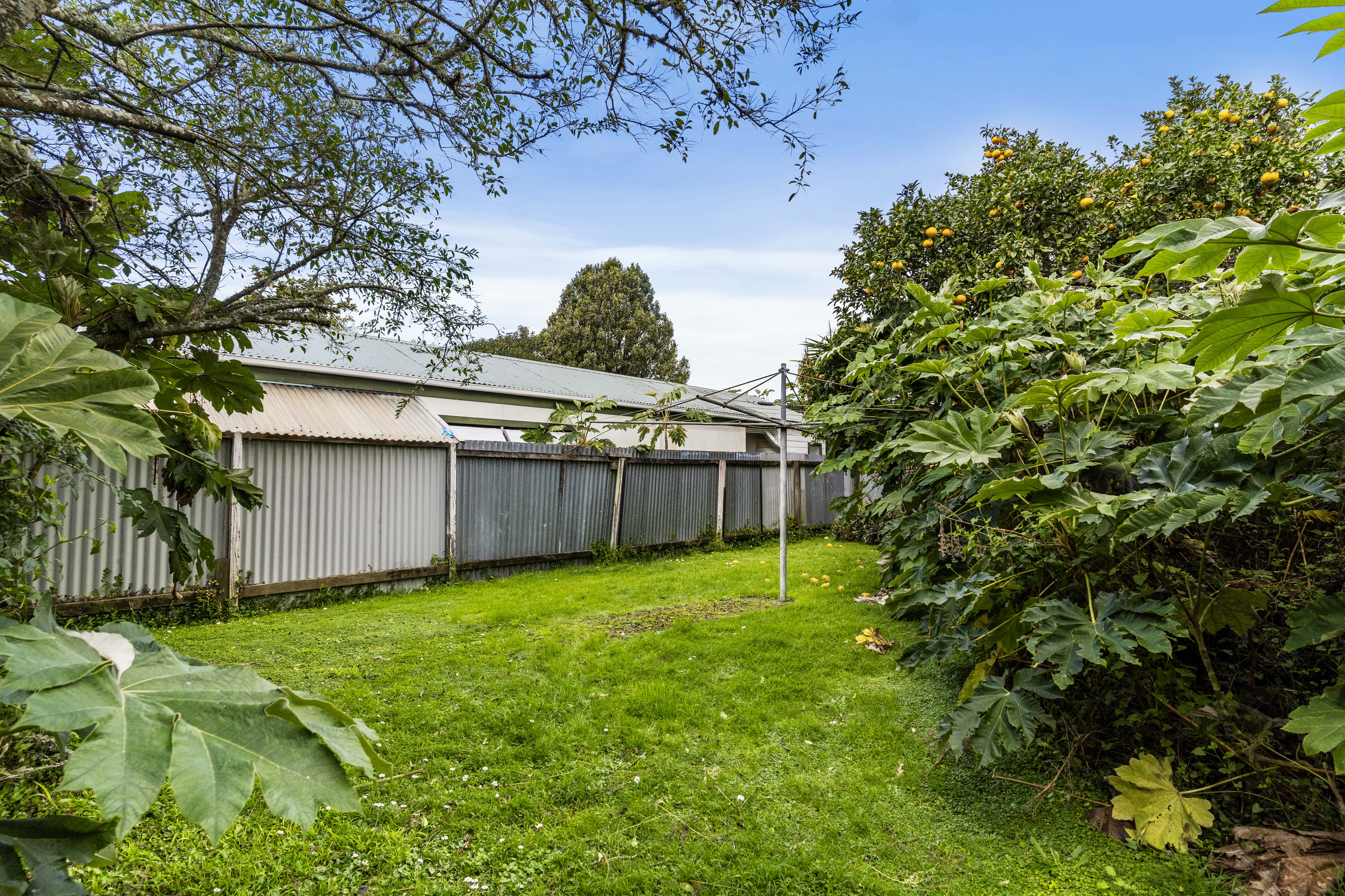 Photo 18 of 498 Swanson Road, Rānui, Auckland