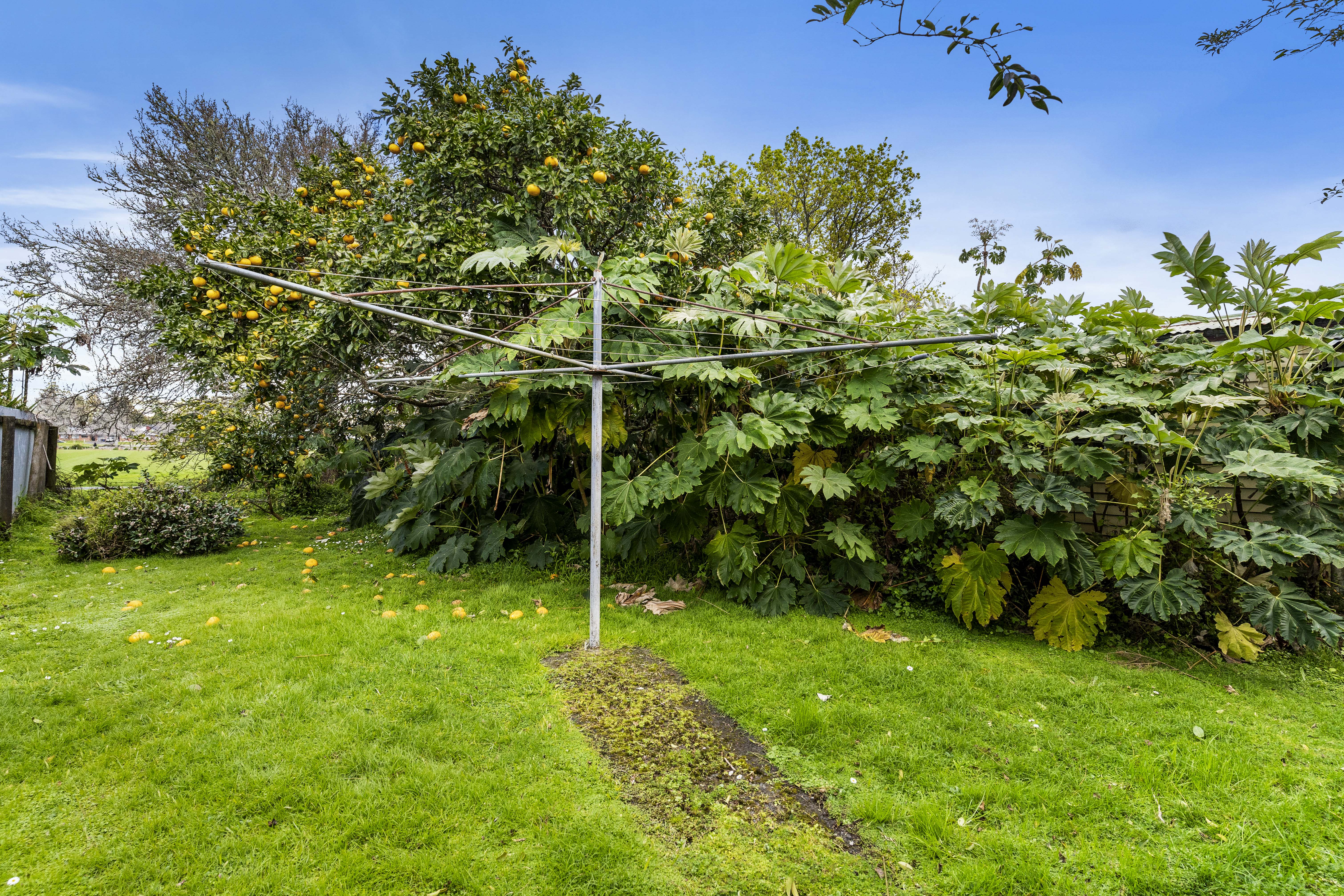 Photo 19 of 498 Swanson Road, Rānui, Auckland