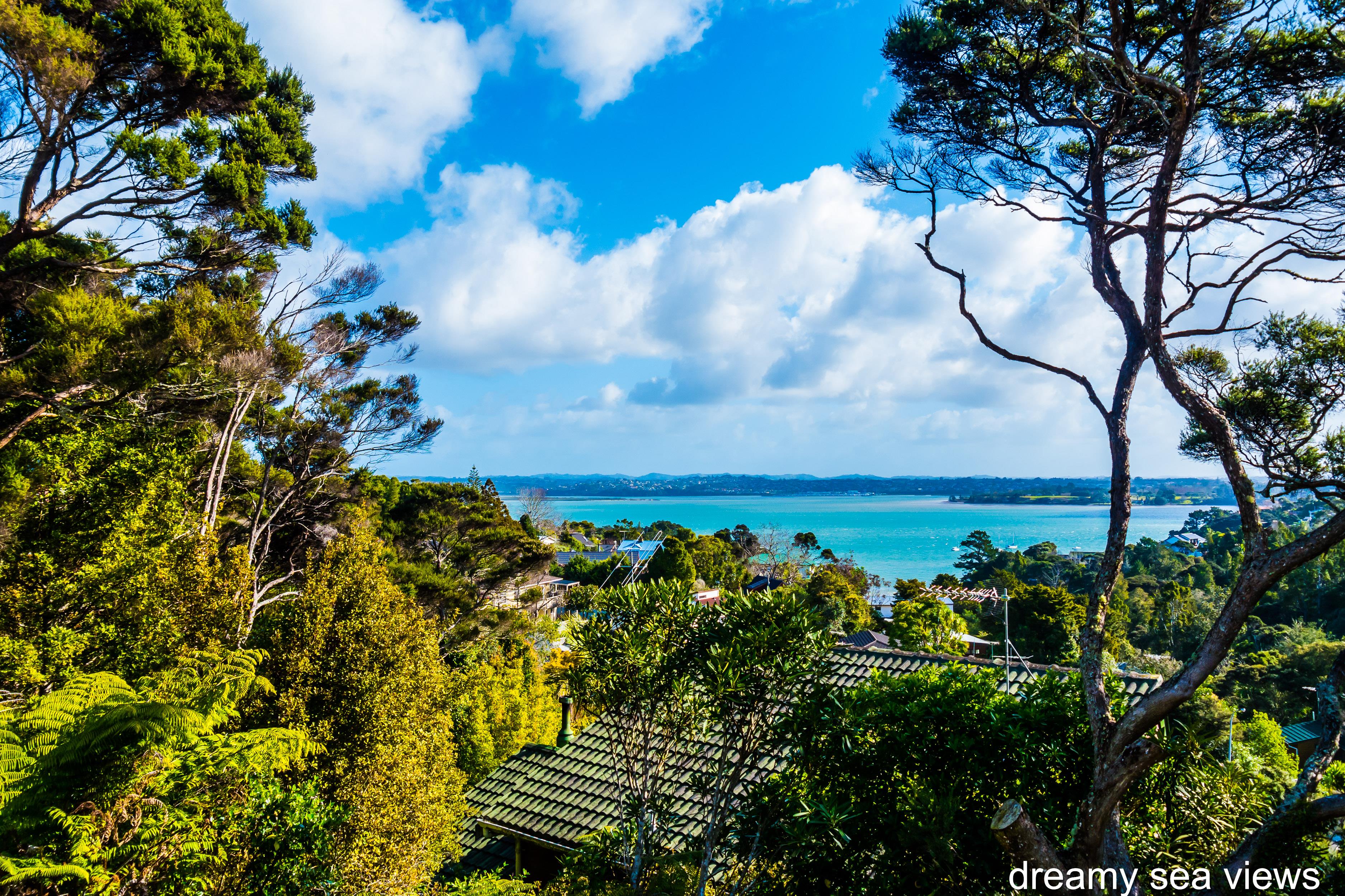 Sold 43B Island Bay Road, Beach Haven Aug 2015 | Barfoot & Thompson